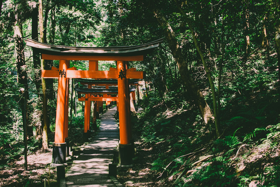 Japanese forests