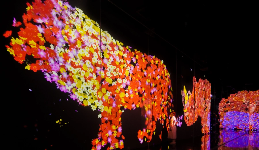 Animals of Flowers, Symbiotic Lives at teamLab Borderless