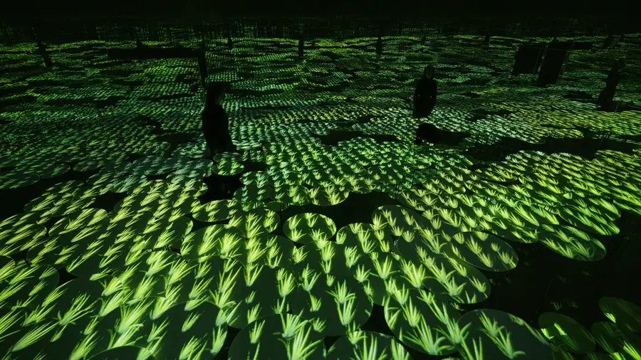 Memory of Topography at teamLab Borderless