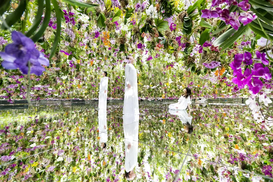 teamLab Borderless: Floating Flower Garden: Flowers and I are of the Same Root, the Garden and I are One