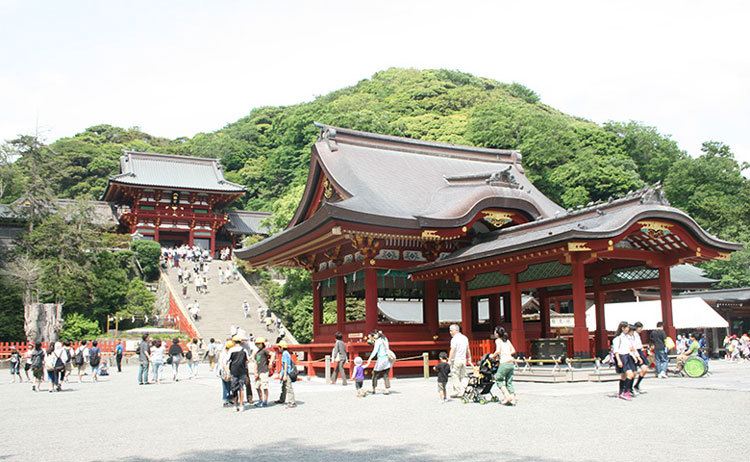 Tsurugaoka_Hachimangu Tsurugaoka Hachimangu Shrine
