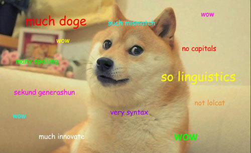 shiba inu doge meme