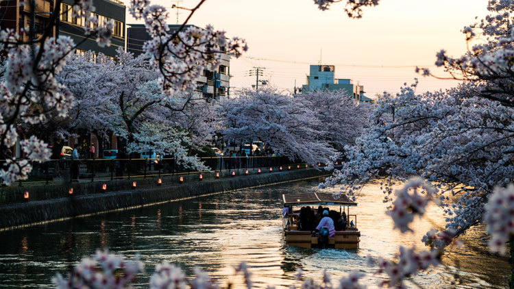 kyoto-japanese-river Japanese river in Kyoto