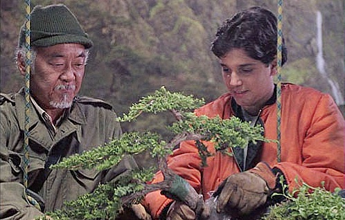 bonsai trees karate kid