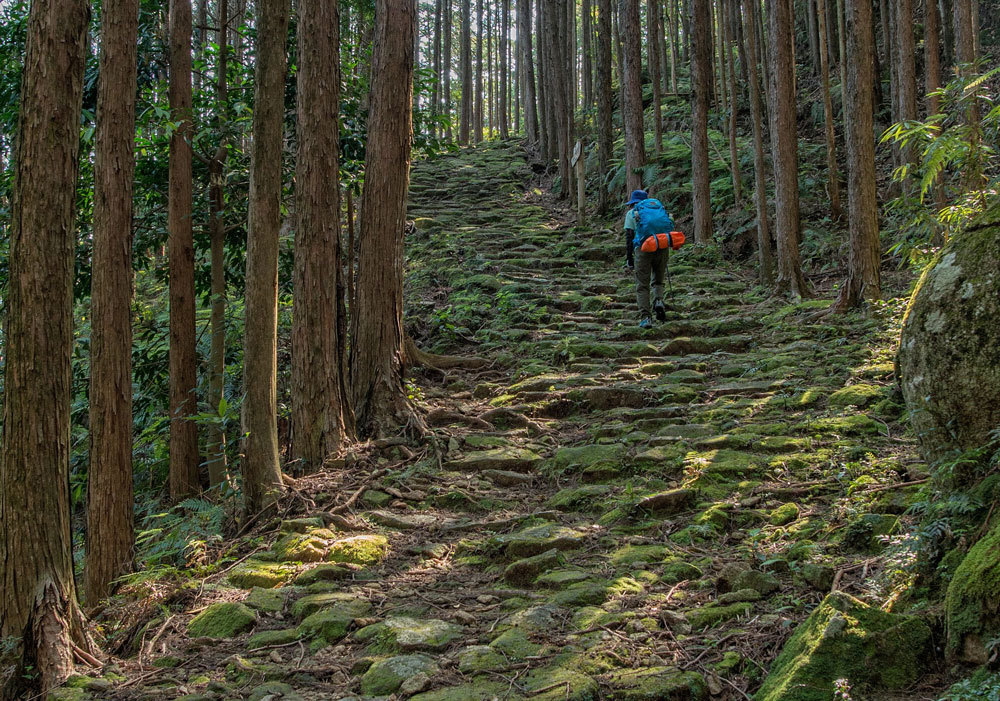 Kumano trails Kumano trails