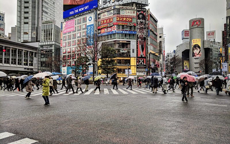 shibuya-crossing