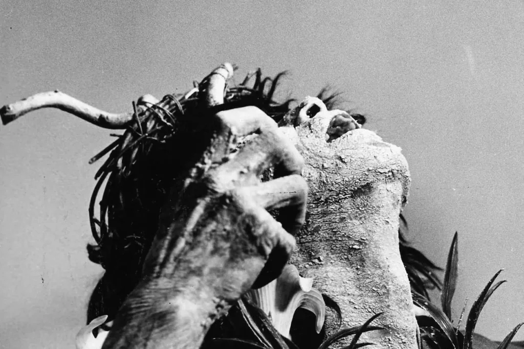 Kazuo Ohno, face and arm caked in white, throws his head back under a crown of twigs and spiky leaves against a pale sky