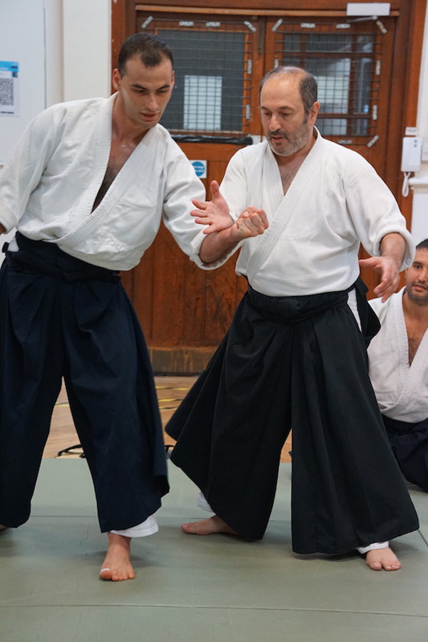 Aikido Self-defence