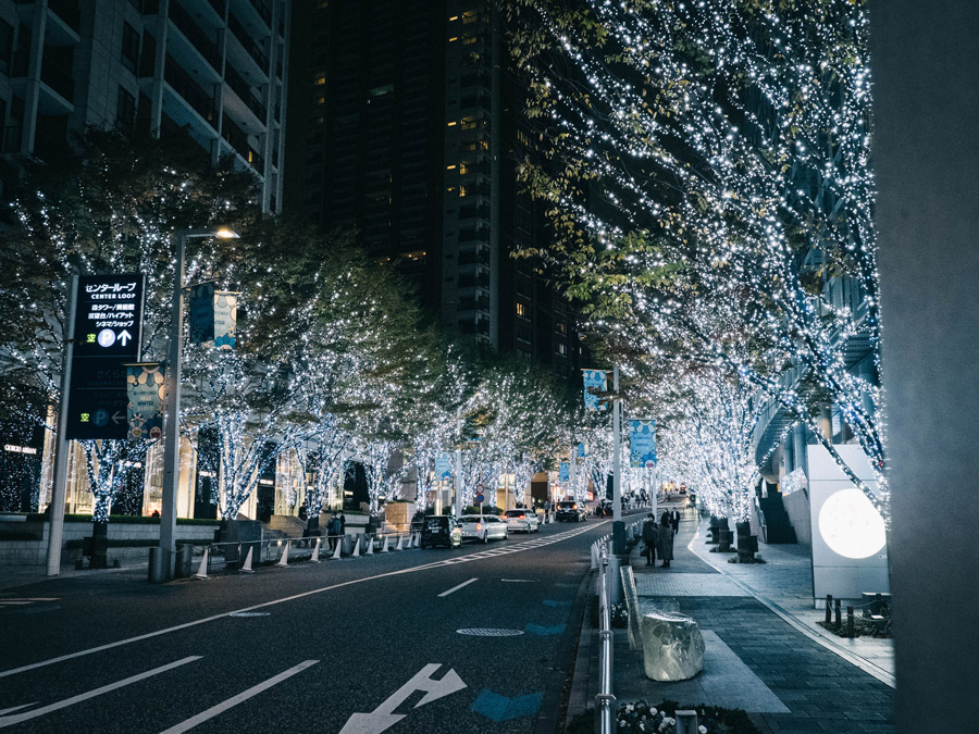 christmas lights in japan