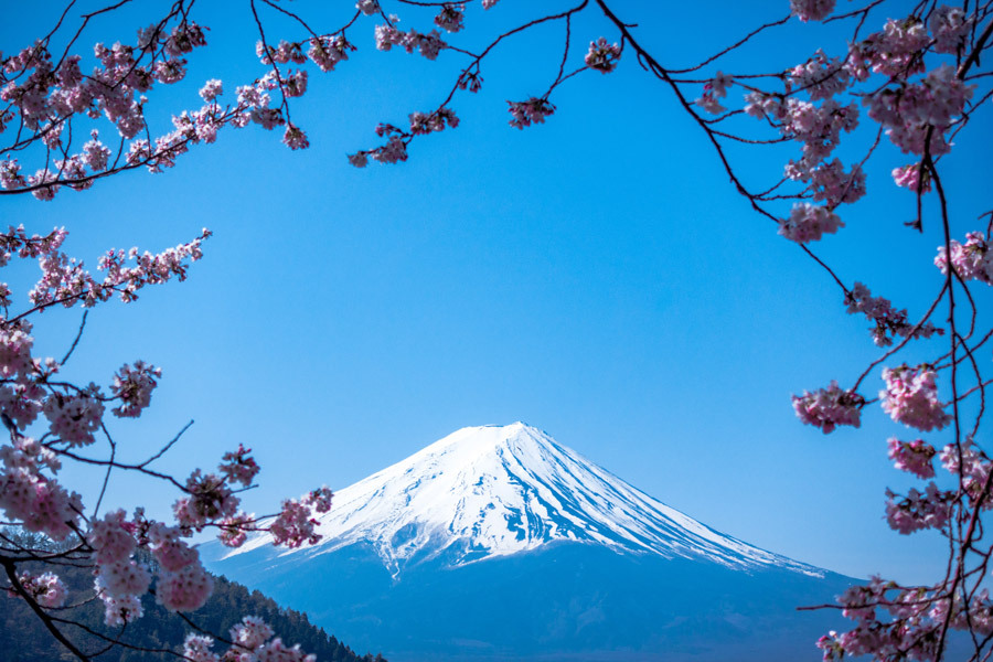 mount fuji