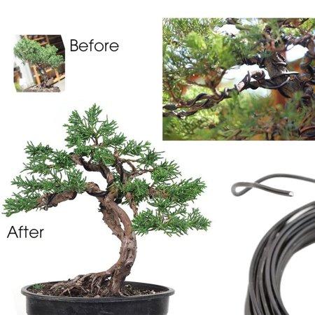Zhanmai 9 Rolls Bonsai Wires Anodized Aluminum Bonsai Training Wire with 3 Sizes Black Total 147 Feet 1.0 mm, 1.5 mm, 2.0 mm 