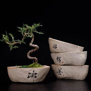 Bonsai Tree Ceramic Pot