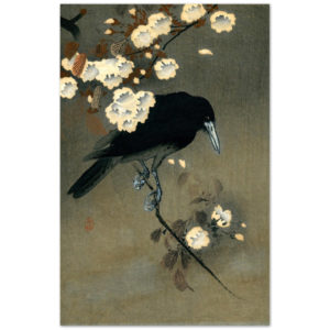 Crow and Blossom by Ohara Koson