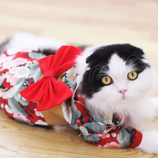 Authentic Pet Kimono for Cats