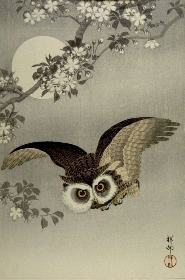 Scops Owl in Flight by Ohara Koson