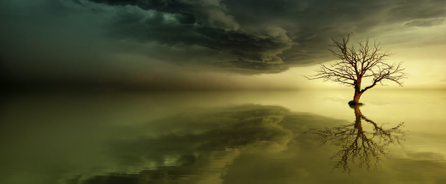 nature-throughout-history