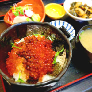 Hokkaido-ikura-don Hokkaido ikura don
