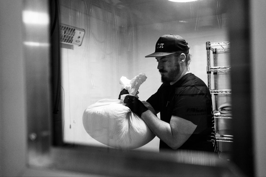 kanpai-sake-process-2