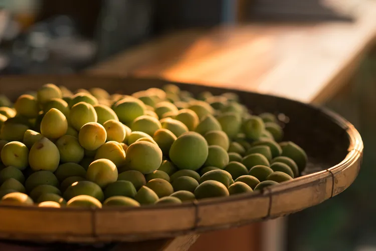 Fresh Ume Plums - tsunagujapan.com