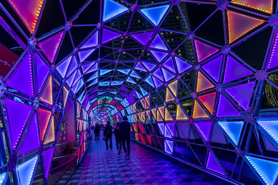 One of the most famous Tokyo Attraction