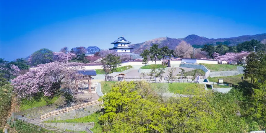 Matsumae Cherry Blossom Festival April Japan