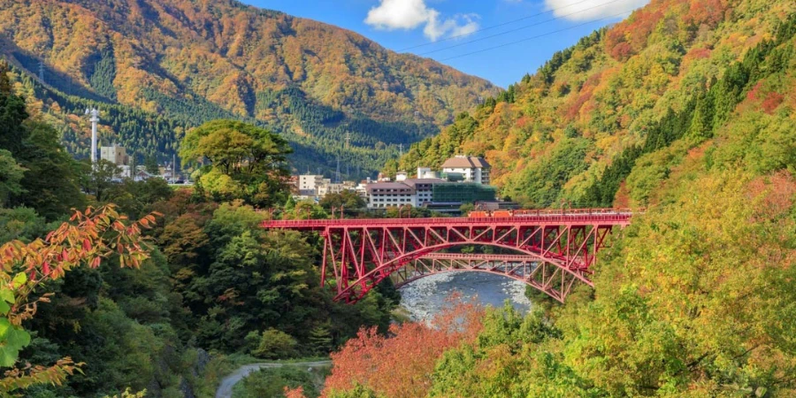 Kurobe Gorge Railway surrounded by nature in Toyama