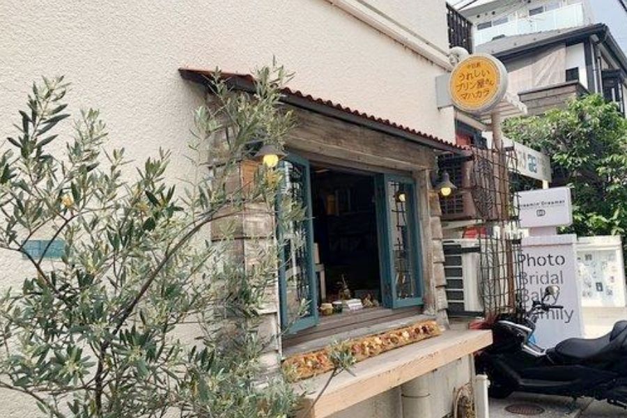 Makahara Ureshii Pooding Makahara Ureshi Pudding Shop