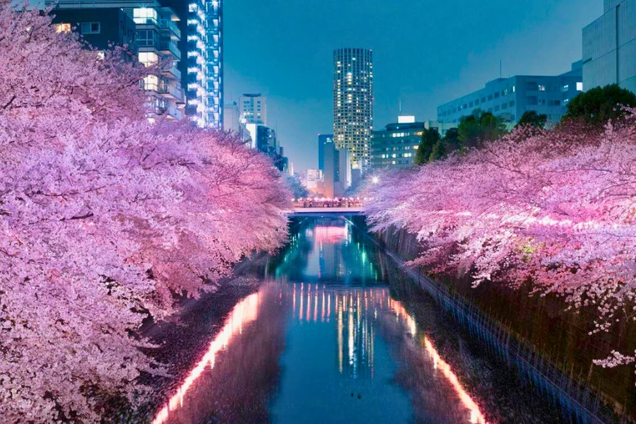 Nakameguro