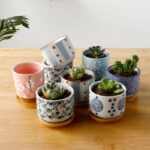 Japanese Ceramic Succulent Flowerpot