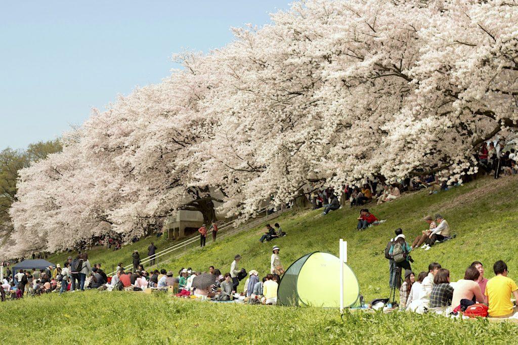 10 Enchanting Attractions in Japan for Couples