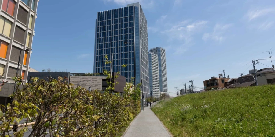 A sidewalk with plants and grasses at Setagaya Ward