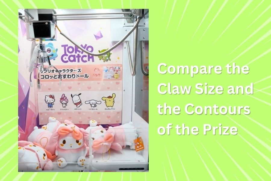 Compare the Claw Size and the Contours of the Prize Compare the Claw Size and the Contours of the Prize