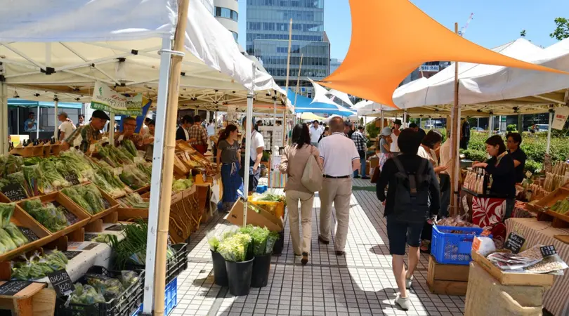 Outdoor tents are lined up under the sun with vendors selling various goods at the Aoyama Farmer's Market