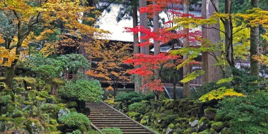 Autumn fall season at Eiheiji Temple