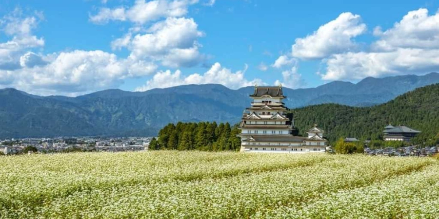 A temple in the middle of the green fields
