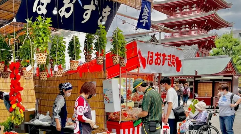 Various vendors selling plants near Sensoji Temple