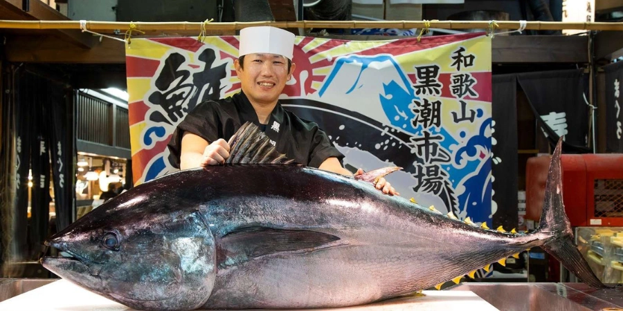 A chef with a big fish during the live tuna cutting in Kuroshio Market, Wakayama