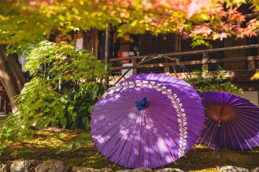 A Wagasa umbrella used to combat the summer heat A Wagasa umbrella used to combat the summer heat