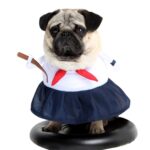 Kawaii Pet Costume