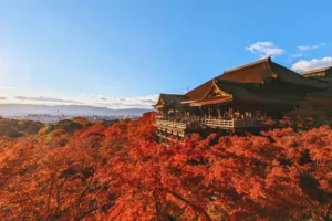 A view of kiyomizu dera temple in kyoto surrounded by vibrant red autumn foliage during the shift to cooler days in september.