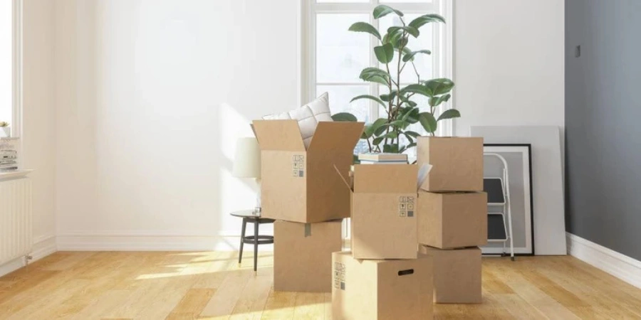 A bunch of boxes from moving in (or out) in a bright room, with a plant, a ladder, a photo frame, a lamp, and a ladder