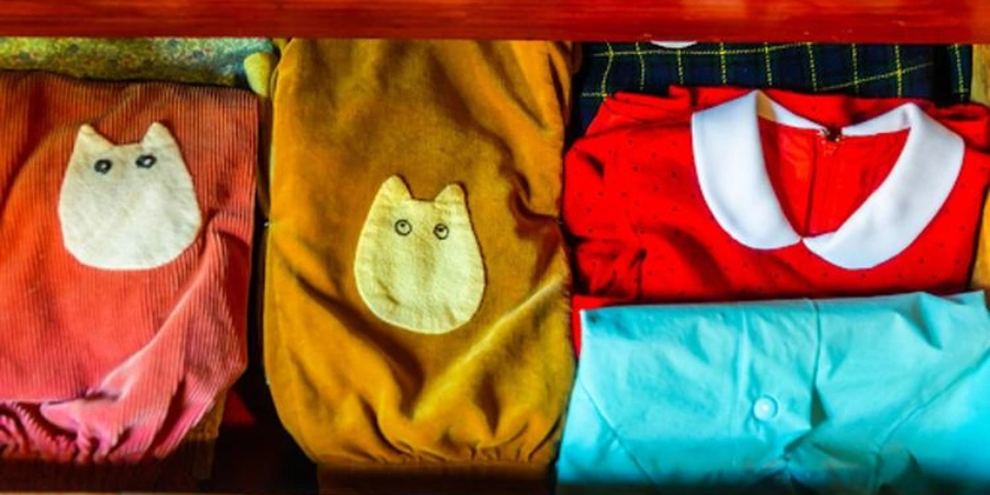 Clothes with Totoro characters