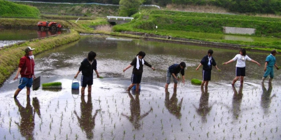 People helping each other in the countryside