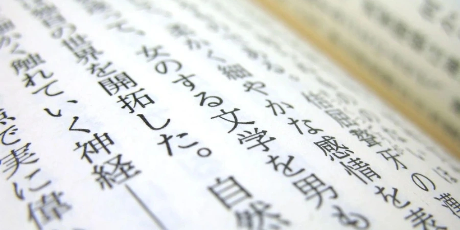 Japanese texts in a Japanese book/novel
