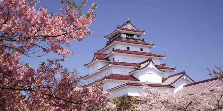 A Japanese castle surrounded with pink cherry blossoms