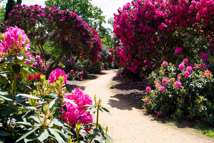 Temple Gardens at Langley Park