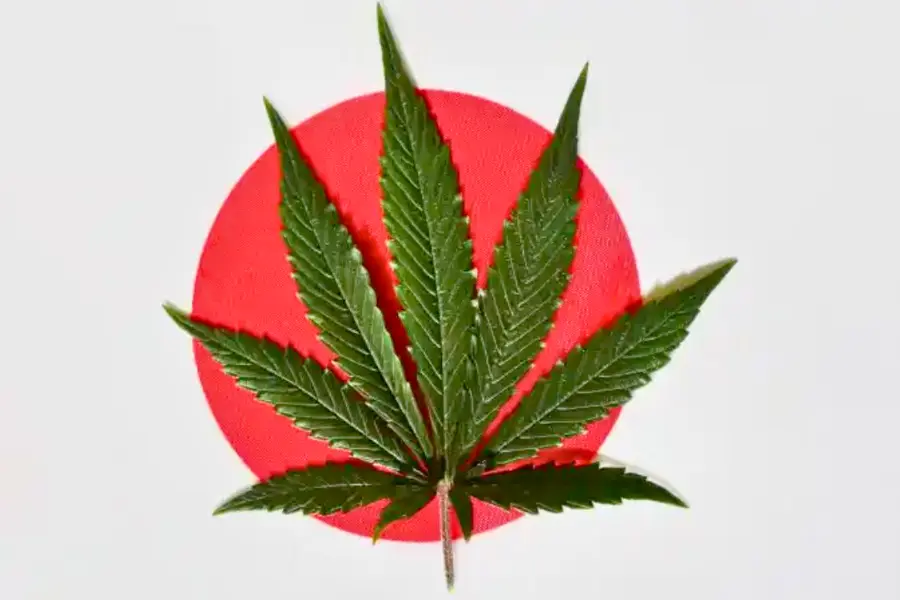 CBD placed on top of the Japanese Flag