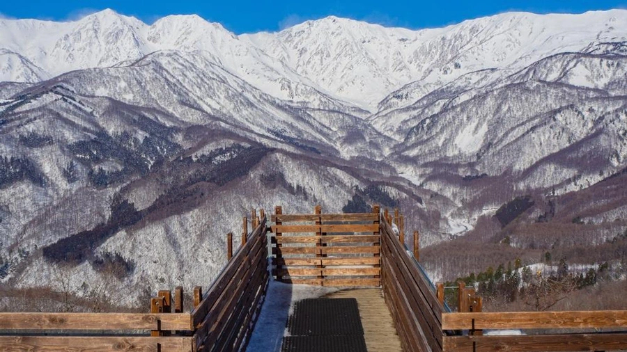 Hakuba Mountain Harbour