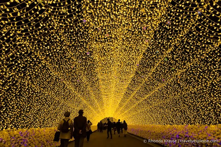 Nabana no Sato illumination