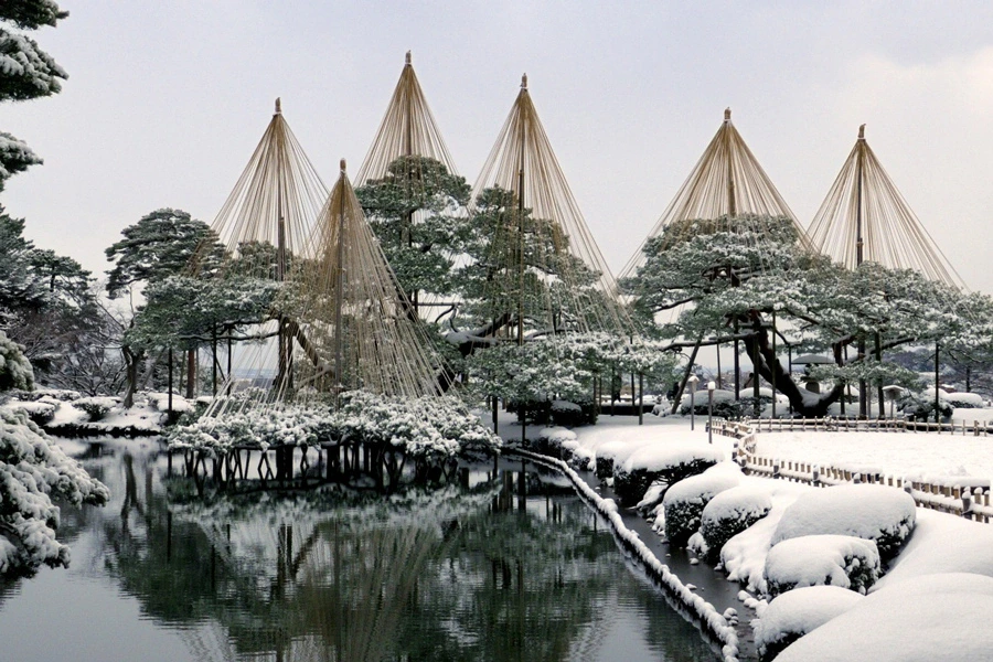 Snow Hanging at Kenrokuen